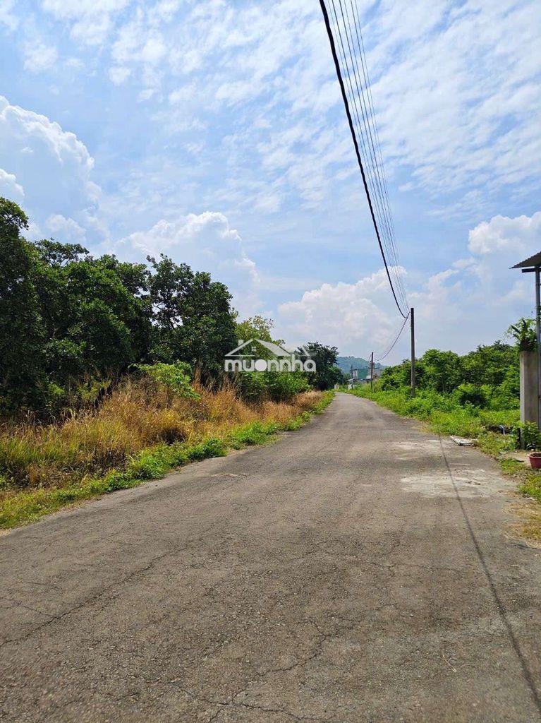 Bán hơn 5.200m² đất bàu lươn – dầu giây, đồng nai - 3