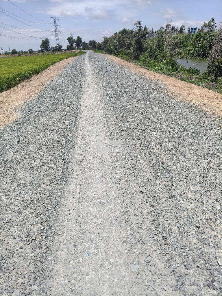 Đất lúa giáp kênh. - 2