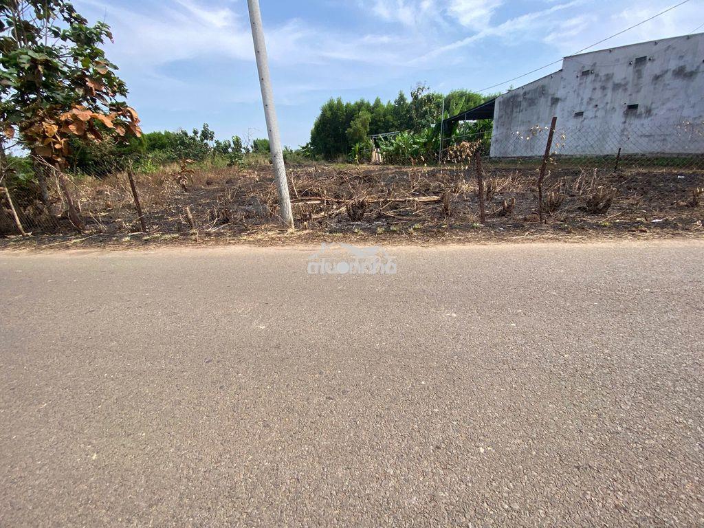 Bán lô đất 1000m2 cso 16m mặt tiền đường nhựa,dân cư ở đông đúc - 3