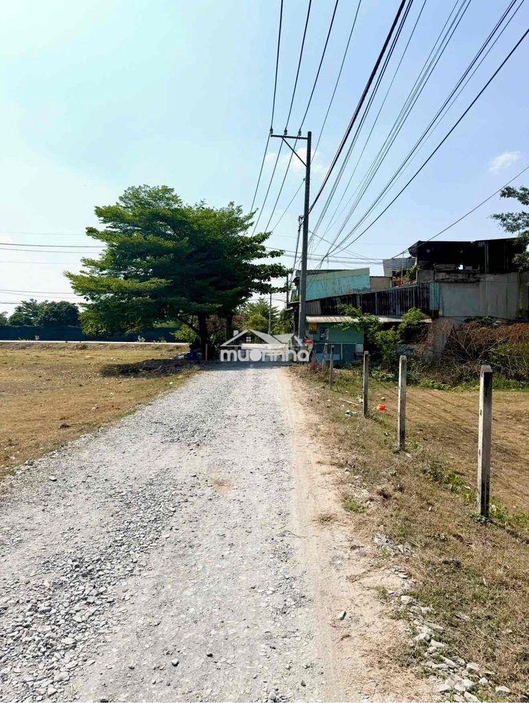 Đất khu dân cư . gần kcn vĩnh lộc . tân bình chín chủ - 2