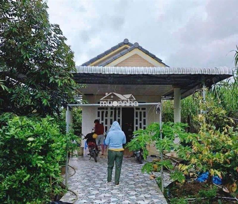 Bán gấp nhà vườn chuyển về quê
