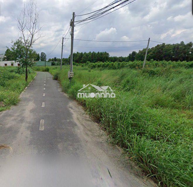 Bán 3 lô đất ngay kcn giang điền, đường ô tô thông 1tỷ3/lô shr