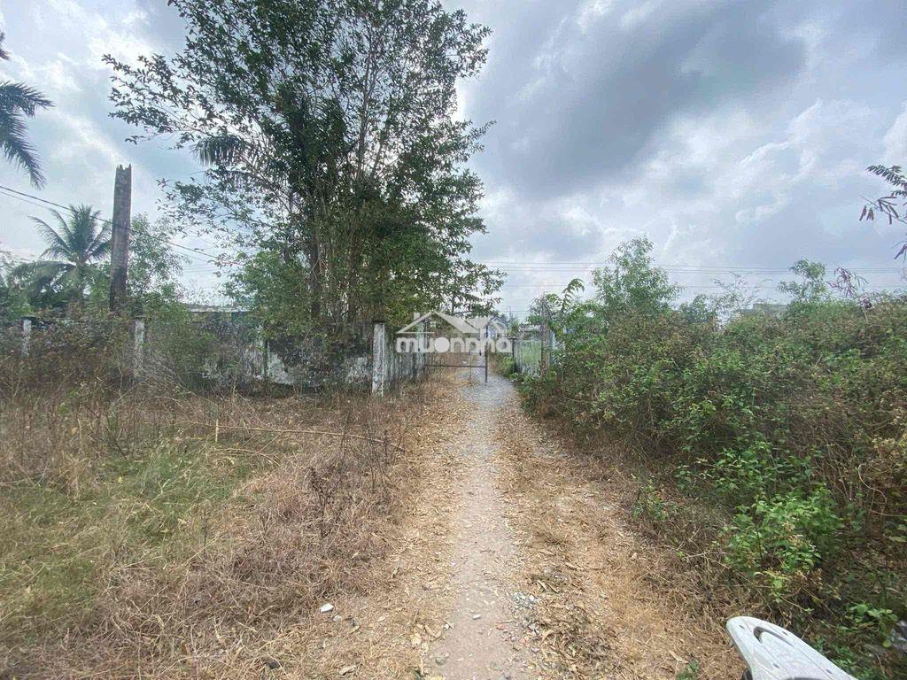 Nhà đất + trại nuôi gà - 2