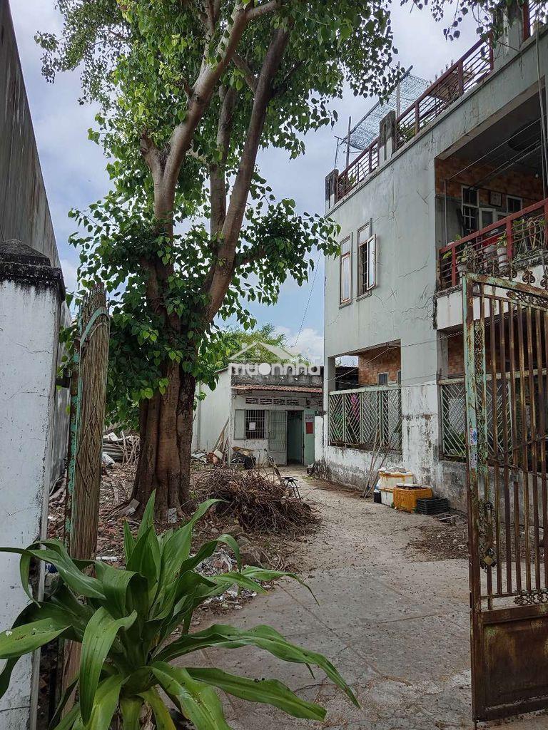 Bán nhà mặt tiền 15m 2 lầu và dãy trọ hơn 500m thổ cư tại võ thị sáu. - 4