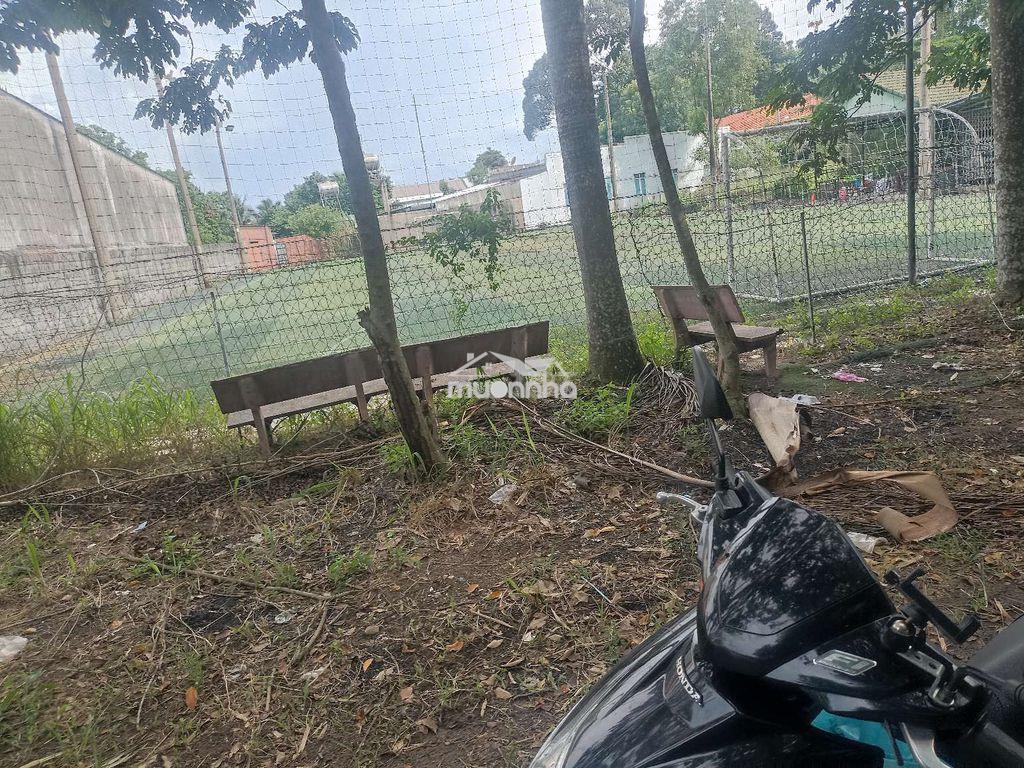 Bán đất vườn  - 2