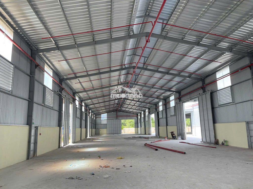 Cho thuê 1.035m2 nhà xưởng hoà lợi bến cát bình dương pccc tự động - 3