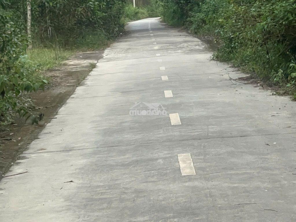 Bán lô đất ở tại nông thôn,dân cư đông đúc,cách qlo 20 khoảng 800m - 3