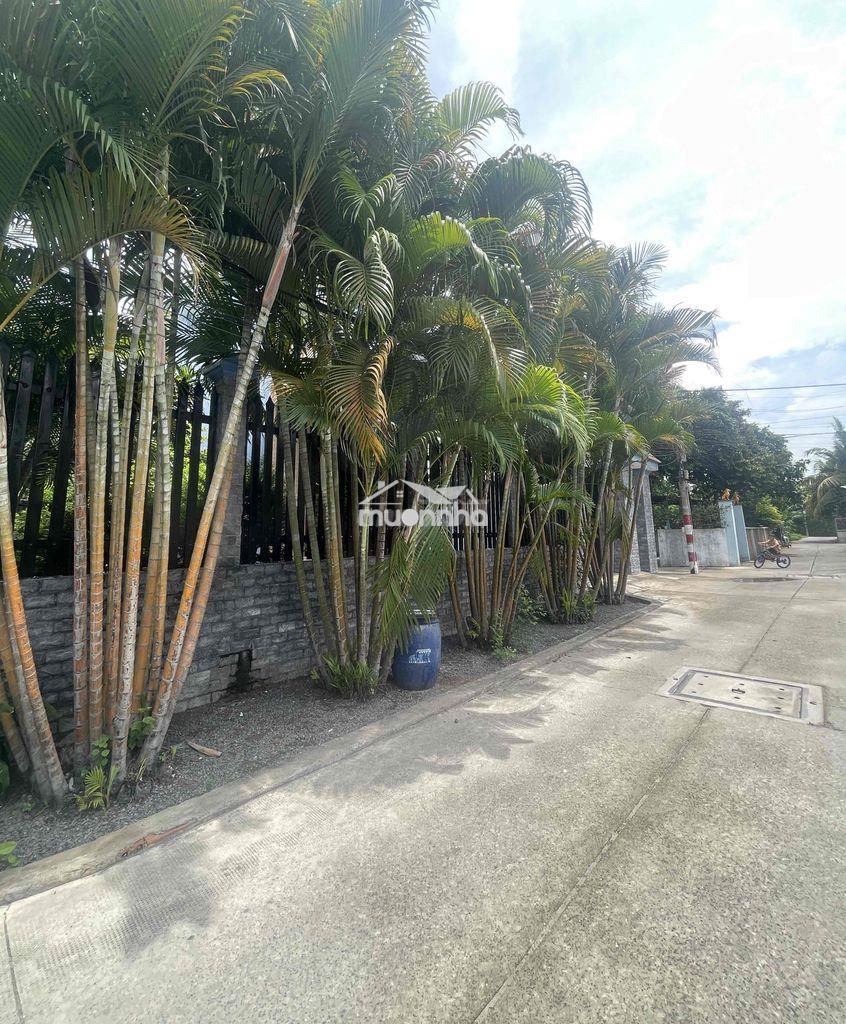 Cần bán đất thổ cư 180m2 gần chợ xuân thới thượng - 2