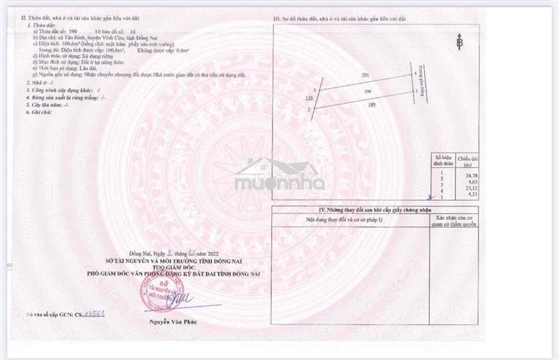 Đất thổ cư xây tự do