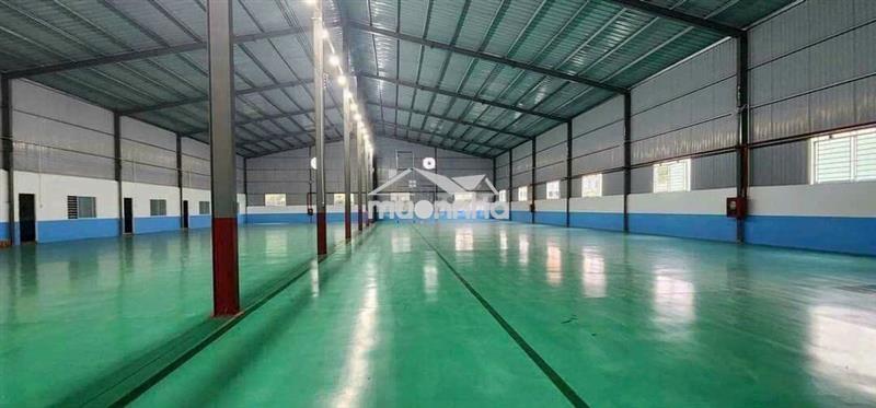 Cho thuê kho xưởng 2000m2. giá 120 triệu. tại thuận giao.thuận an/ bd