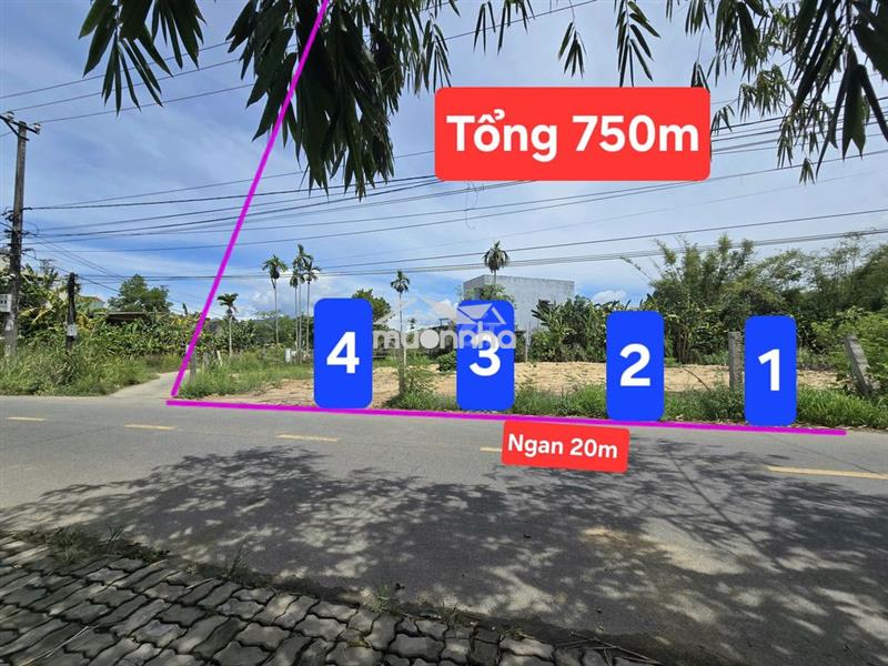 Bán cụm 7 lô hoà tiến mặt tiền đường nhựa 8m 