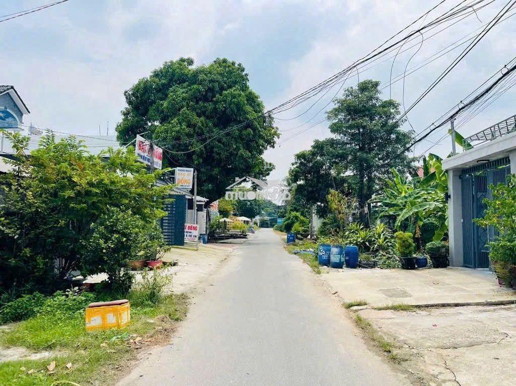 Tân thông hội củ chi dt lớn 376m2 full thổ giá 780tr còn bớt lộc - 2