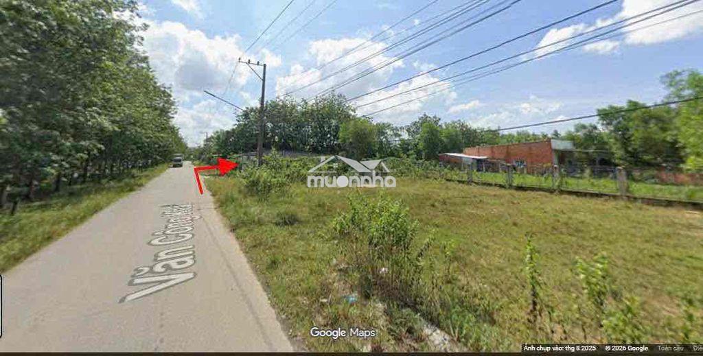 Chính chủ cần bán gấp đất biệt thự ngay trung tâm dầu tiếng bd - 2