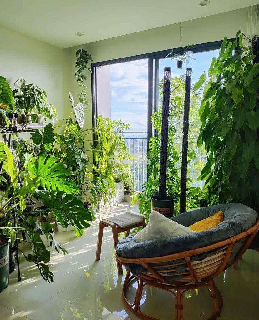 Căn hộ view hoàng hôn landmard-360 độ không chắn - 2