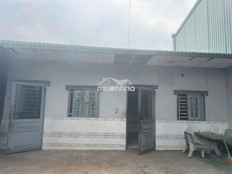 Cho thuê 800m2 / giá 35 tr có bình điện sx đa ngành nghề