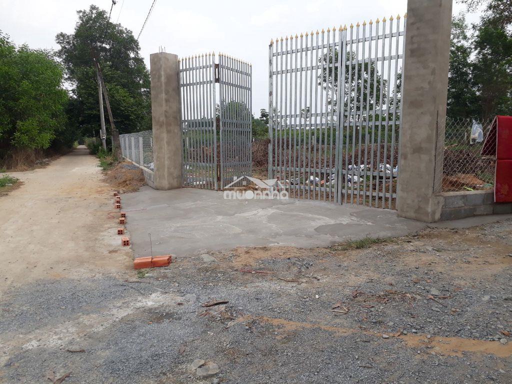 Bán 400m² (13.2m x 30.5m) full thổ xã bình lợi, h,vĩnh cửu, t.đồng nai - 2