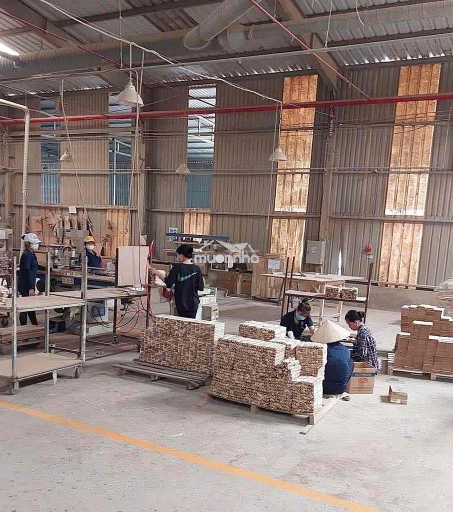 Cho thuê xưởng tân uyên bình dương 6000m2 - 4