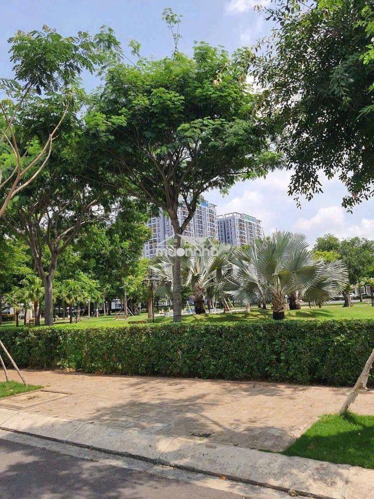 Bán căn biệt thự song lập 112m ngang 8m đối diện công viên - 4