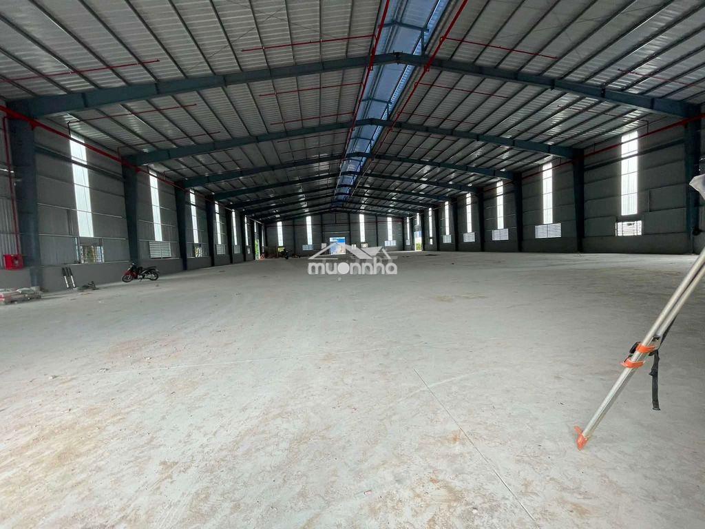 Cho thuê nhà xưởng 4000m2 giá thuê 250 triệu / tháng - 3