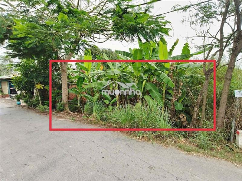 Bán đất quy đức bình chánh