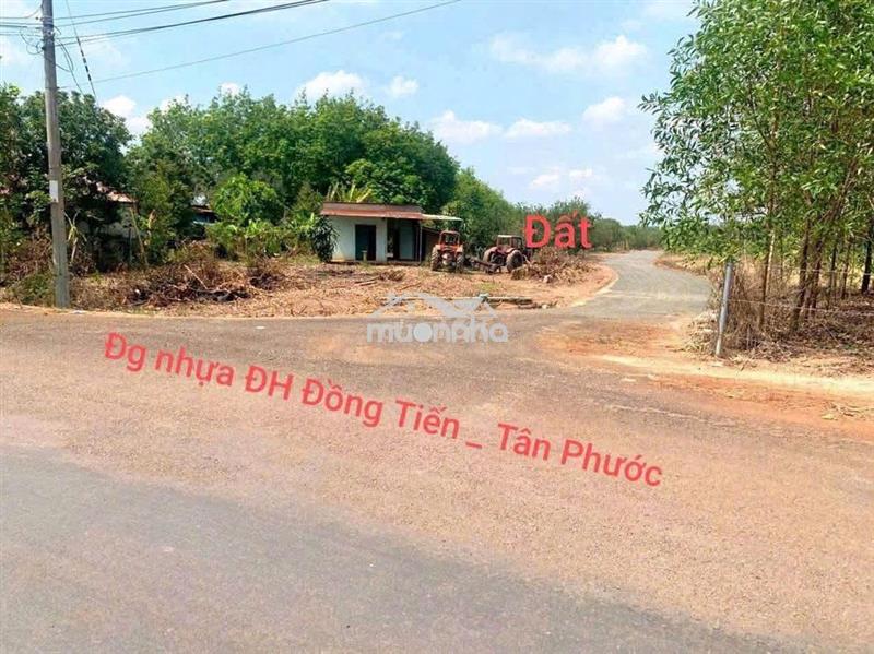 Ra nhanh nhà vườn góc 2mt 1103m2 sẵn 100m2 thổ cư, sẵn bưởi, mít