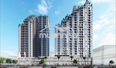 Cho thuê căn hộ cao cấp d-aqua