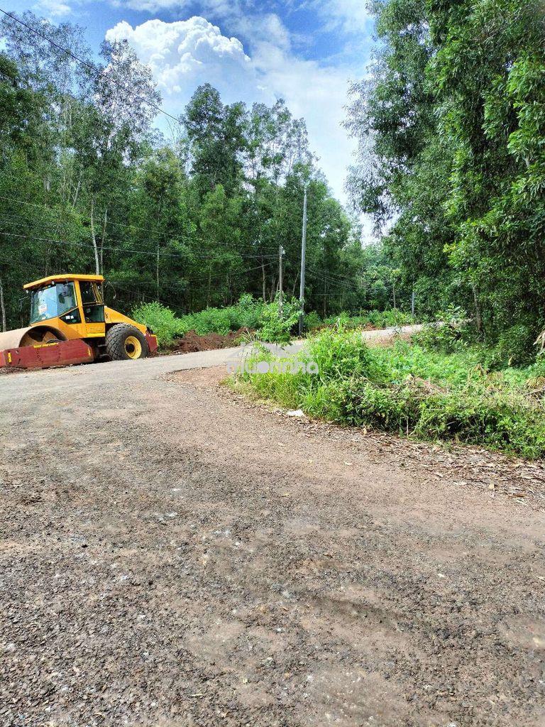Chính chủ cần bán lô đất 300m2 có 100m đất thổ cư sát khu công nghiệp - 3