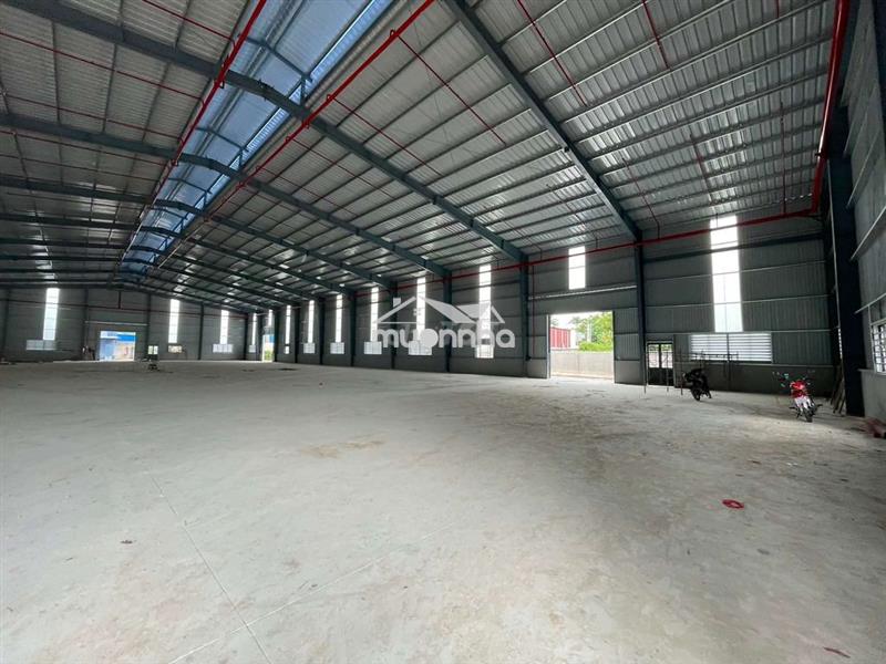 Cho thuê nhà xưởng 4000m2 giá thuê 250 triệu / tháng