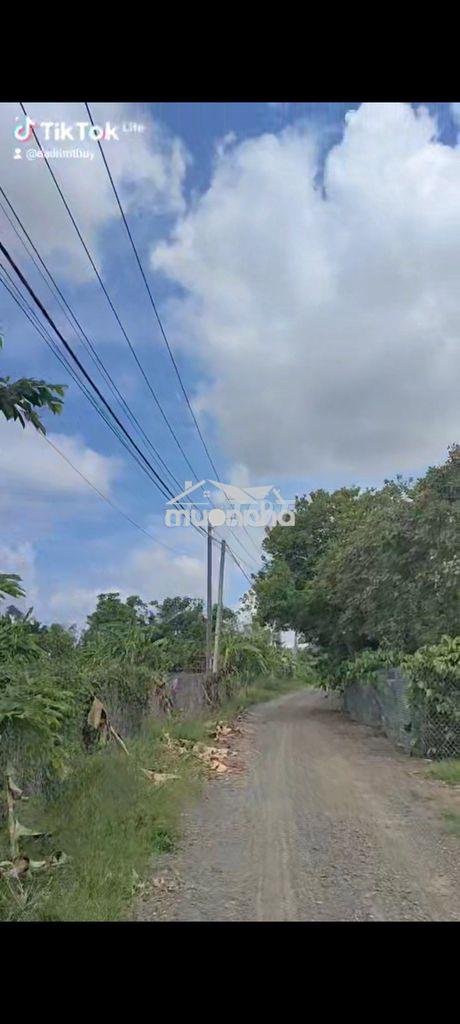 Bán thửa 247 tờ 95 xuân định.xuân lộc.1 tỷ 2