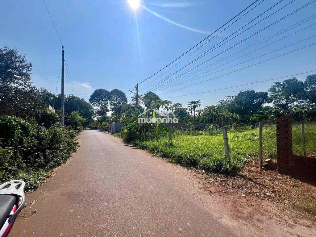 Bán gấp mảnh đất sẵn nhà 🏡 - 4