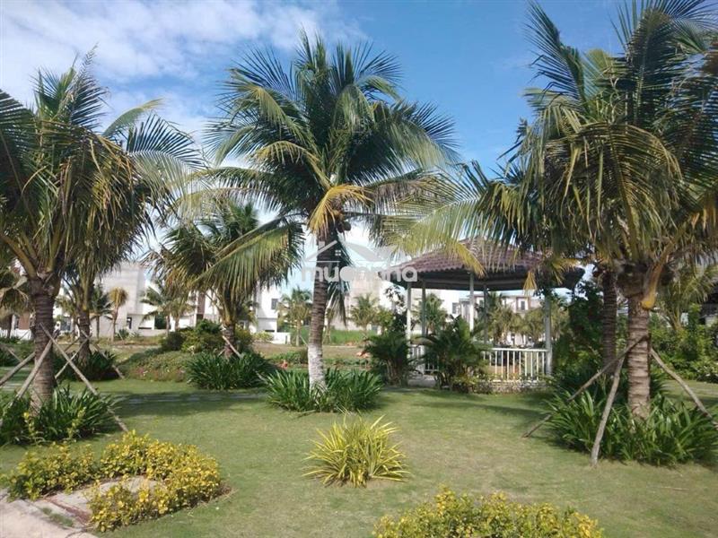Đất 2 mặt tiền view công viên - trần anh riverside (bến lức)