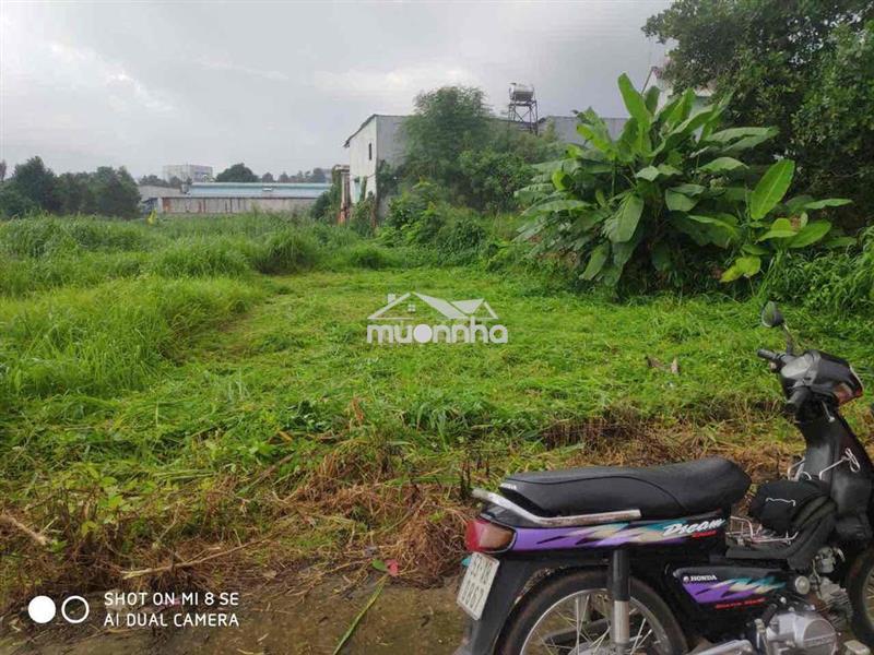 Bán đất rẻ nát nách khu công nghiệp dầu giây