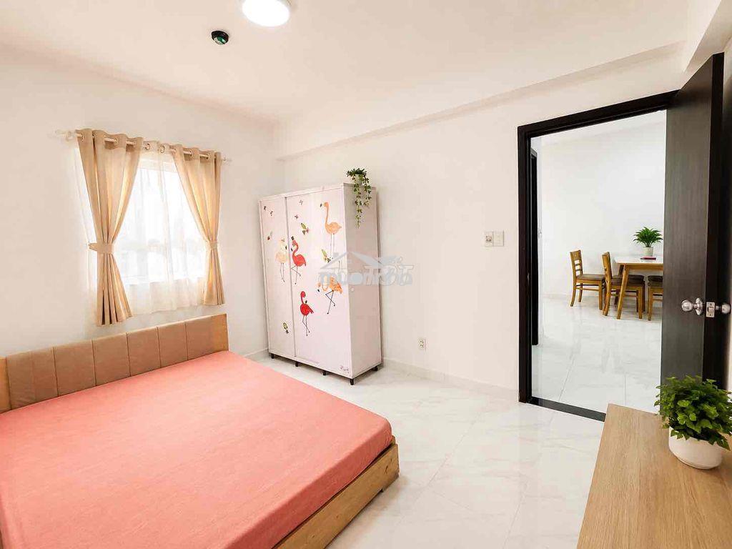 Cho thuê căn hộ 2pn 1wc dt 55m2 khu topaz celadon city - Ảnh 3