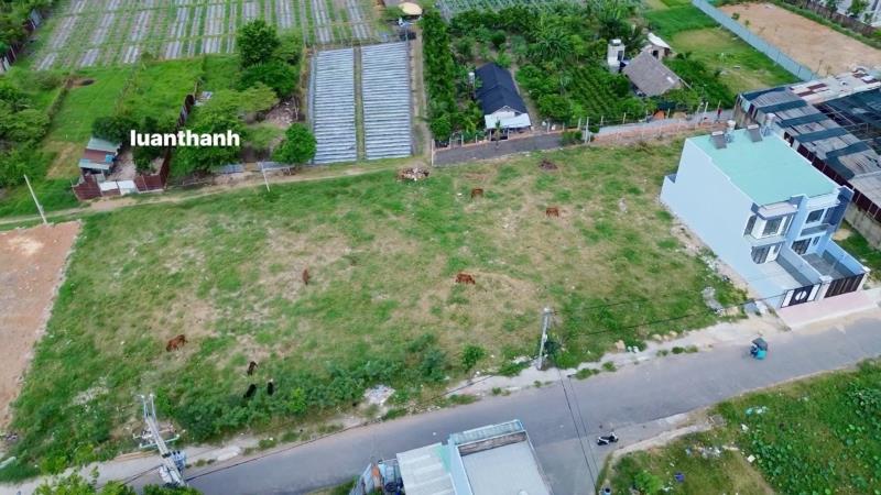 5 lô đất xuân thới thượng 20, bà điêm-hóc môn ( 5×24) 100m² full thổ  - Ảnh 2