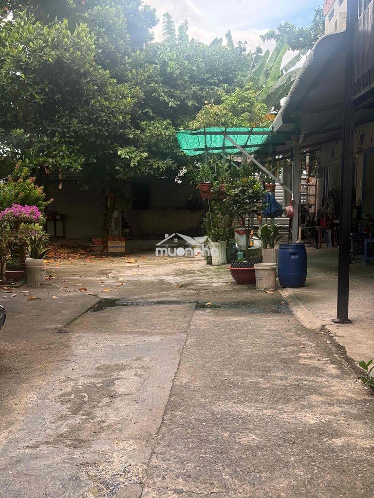 Nhà cho thuê hẻm 90 dương cát lợi ngay cầu phú xuân nhà bè - 2