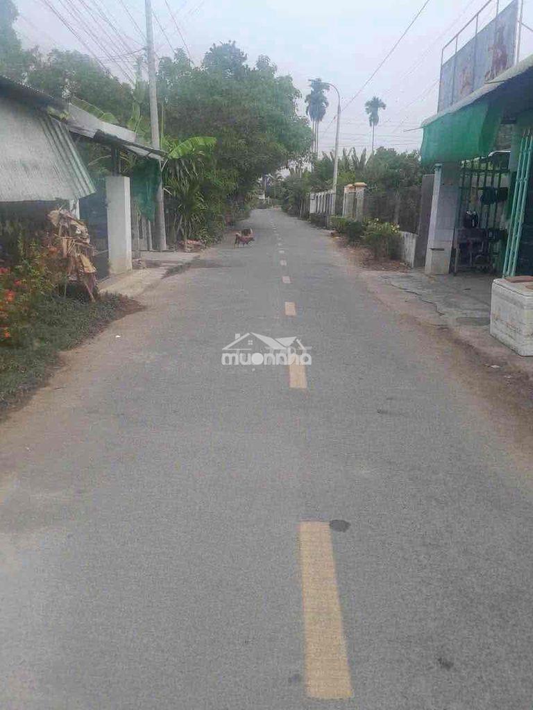 Đất shr dt 251,8m2 tc 100m2 - 4