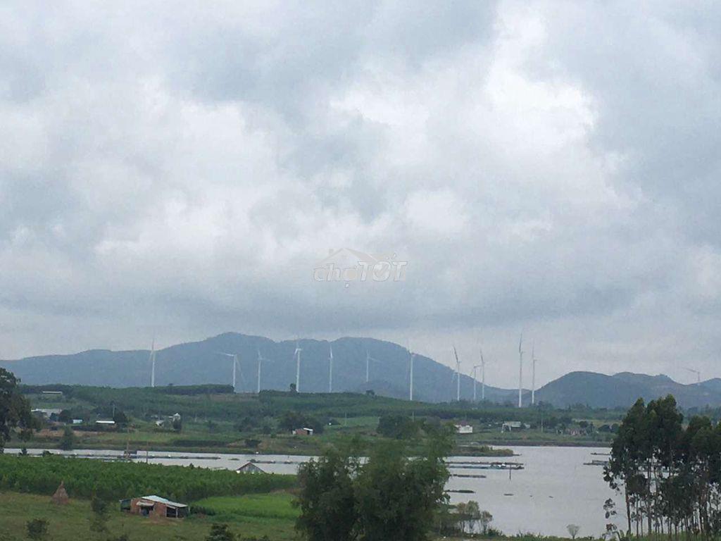 Bán gấp gần 4 xào đất rẫy, xã xuân an, an khê, gia lai - Ảnh 2