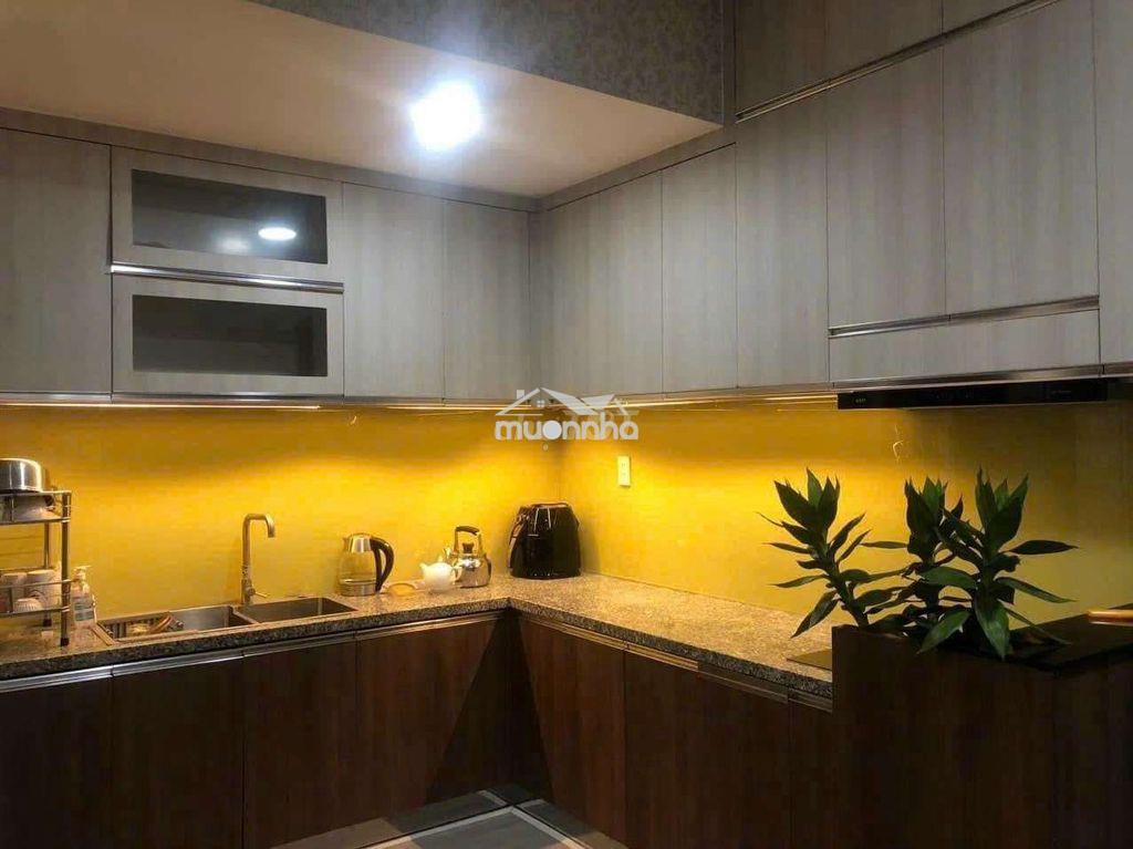 Cho thuê căn hộ 1pn=>4pnruby,emerlad,diamond celadon city quận tân phú - Ảnh 4