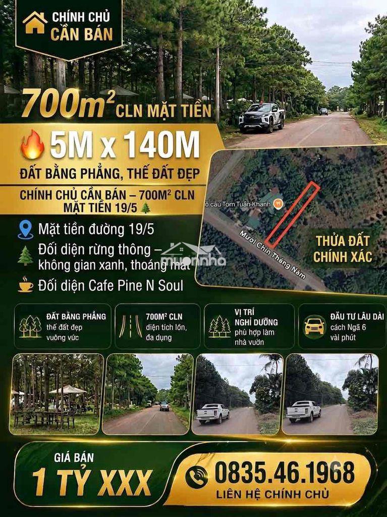 700m² mặt tiền 19/5 – đối diện rừng thông, giá chỉ 1 tỷ xxx!