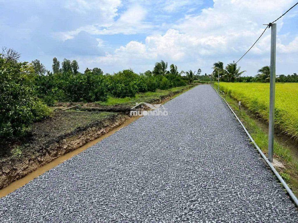 Bán 500m đất làm nhà vườn long an - 3