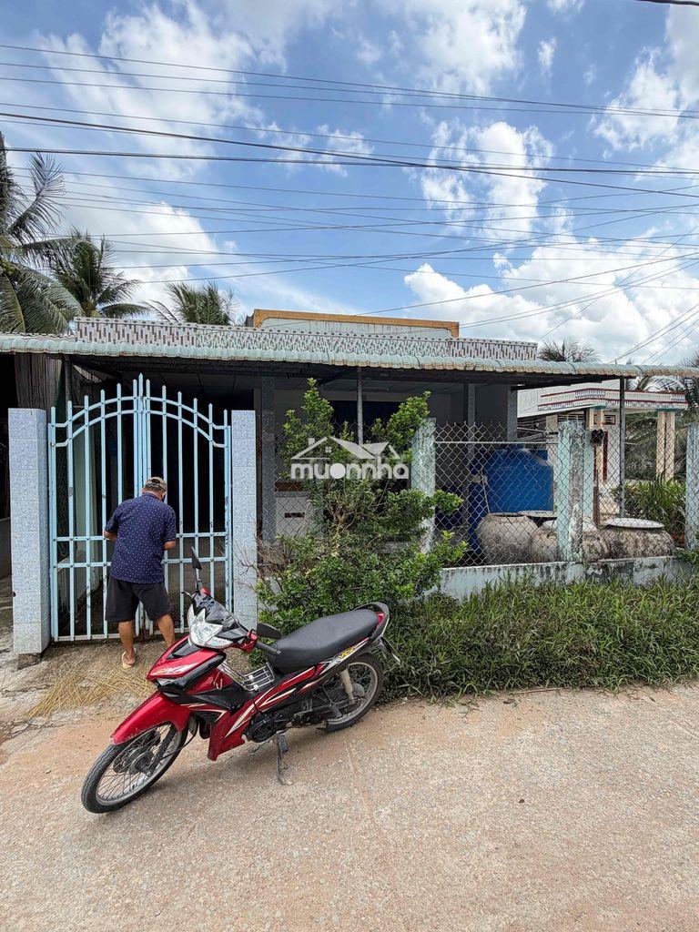 Bán nhà cấp 4 500 triệu 100 thổ cư  tân phú đông tiền giang - 3