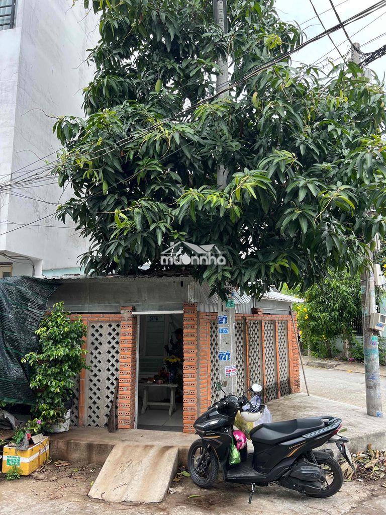 Cho thuê nhà nguyên căn