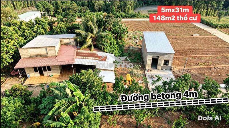Lô cuối cùng hạ giá bán gấp 290tr đất nền sổ riêng thổ cư