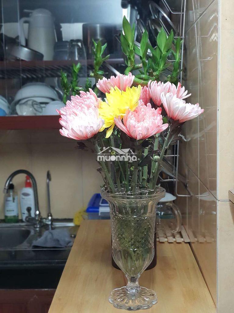 Phòng trọ full tiện ích - Ảnh 3
