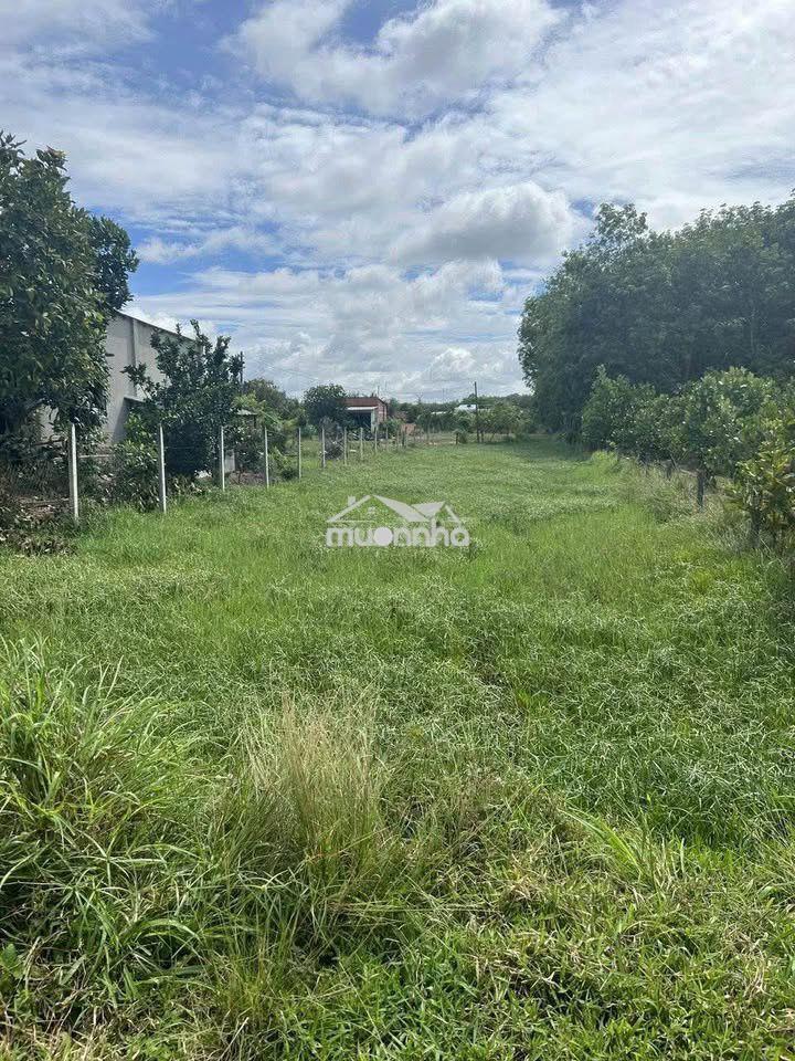 Bán lô đất vườn 1 sẹc ql22. dt 17x48m, sổ hồng riêng, giá 1 tỷ 050tr