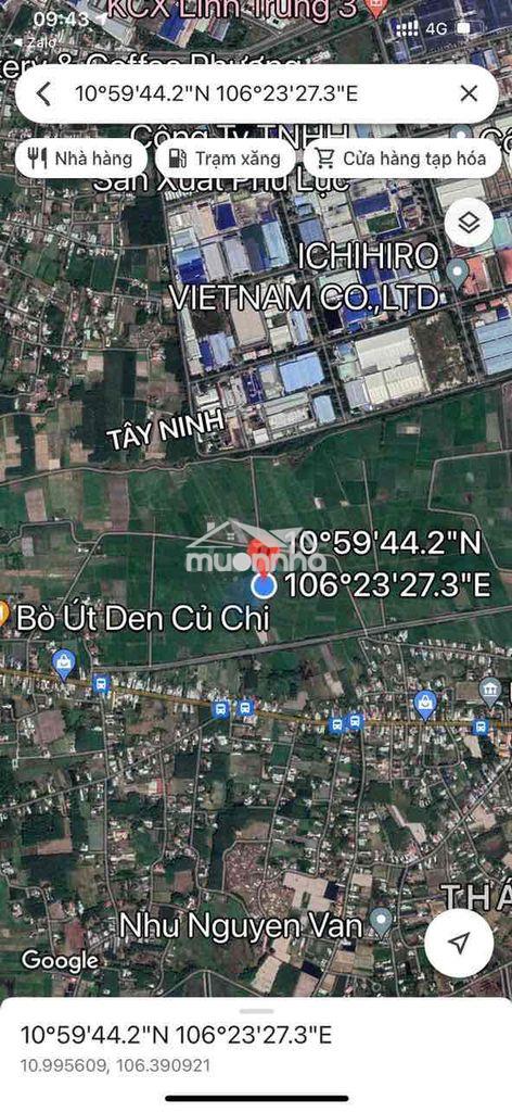 Bán đất nông nghiệp phường thái mỹ, củ chi, tp. hồ chí minh - 3