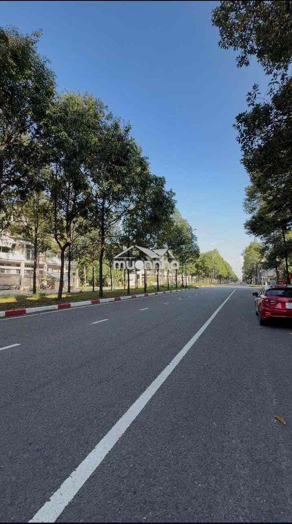 Cho thuê mặt bằng – đường lý thái tổ, thành phố mới bình dương - 2