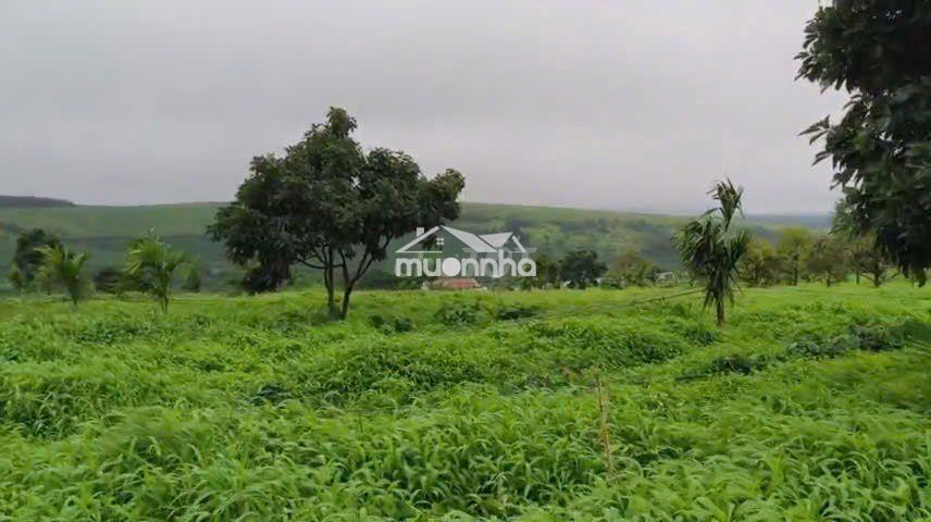 Chuyển nhượng mia farm gia lai 9,6 ha mặt tiền đường nhựa 380m - Ảnh 2