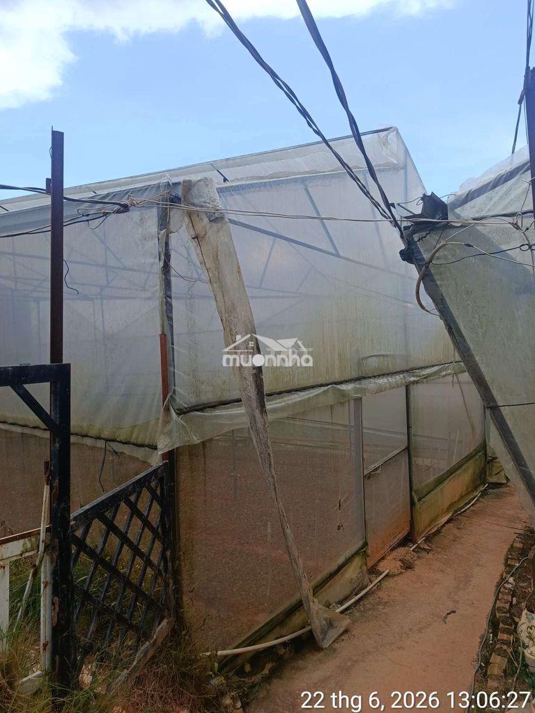 100m2 đất nhà lồng 650 triệu - Ảnh 2