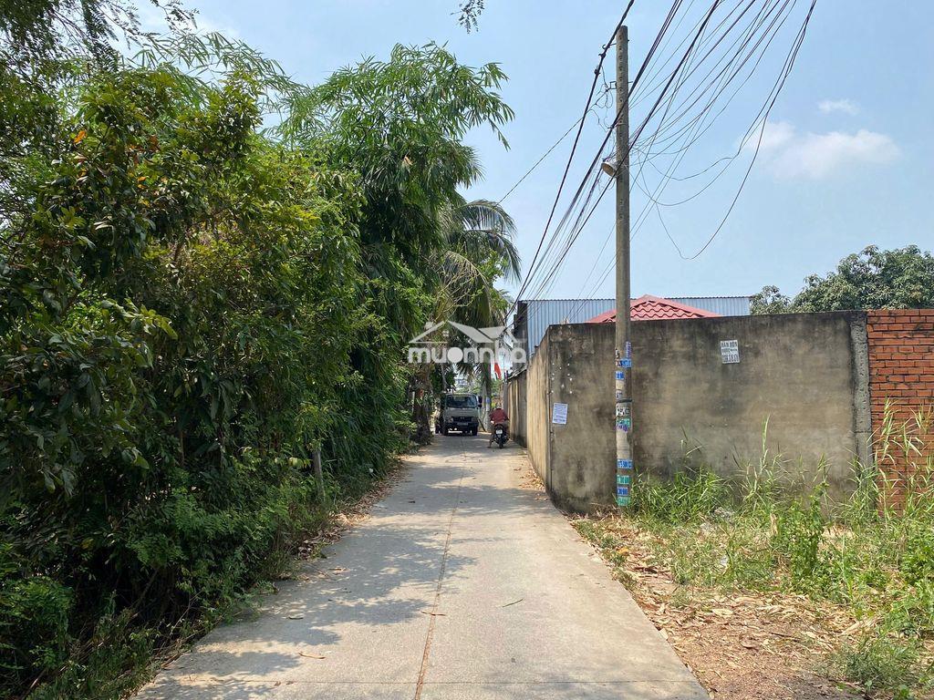 Đất 5x20m full thổ cư hẻm xe tải , xuân thới sơn gần dương công khi - 2